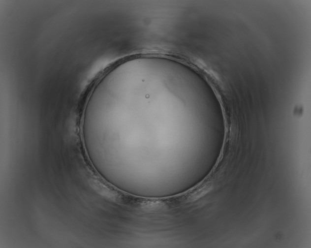 X0000091541454200708241723