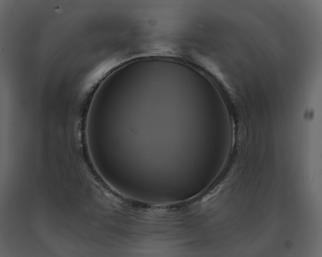 X0000091541455200708241723
