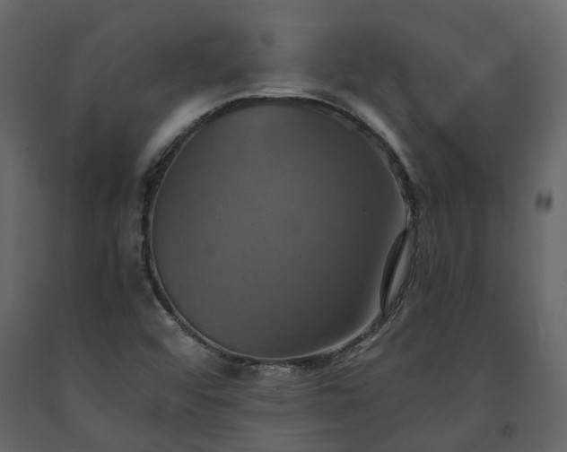 X0000091541456200708241723
