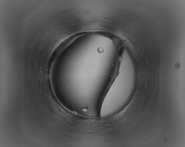 X0000091541457200708241723
