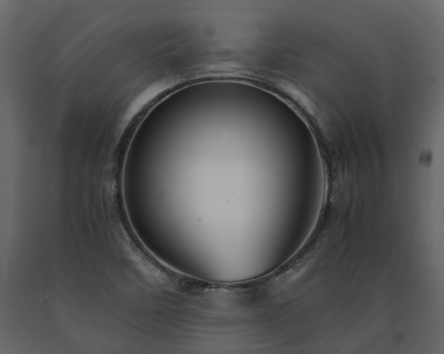 X0000091541458200708241723