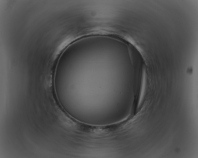 X0000091541459200708241723