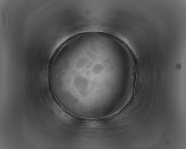 X0000091541460200708241723