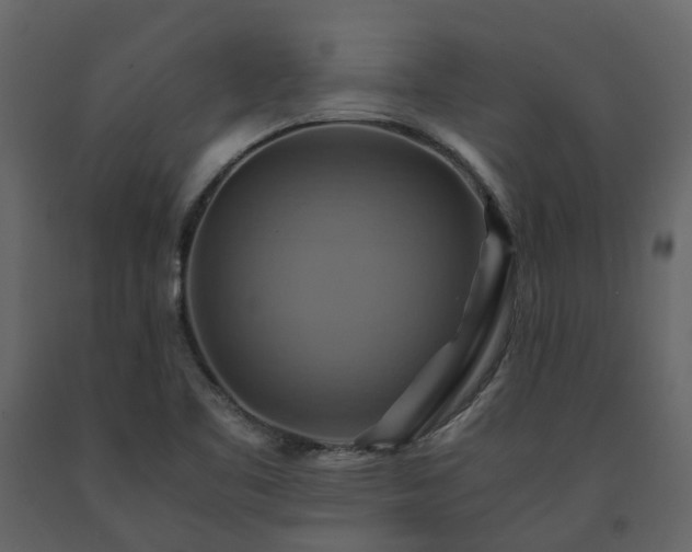 X0000091541461200708241723