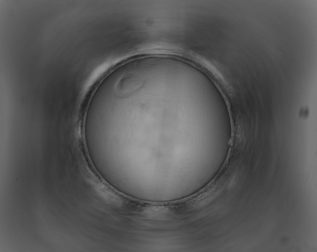 X0000091541462200708241723