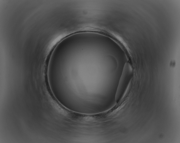 X0000091541463200708241723