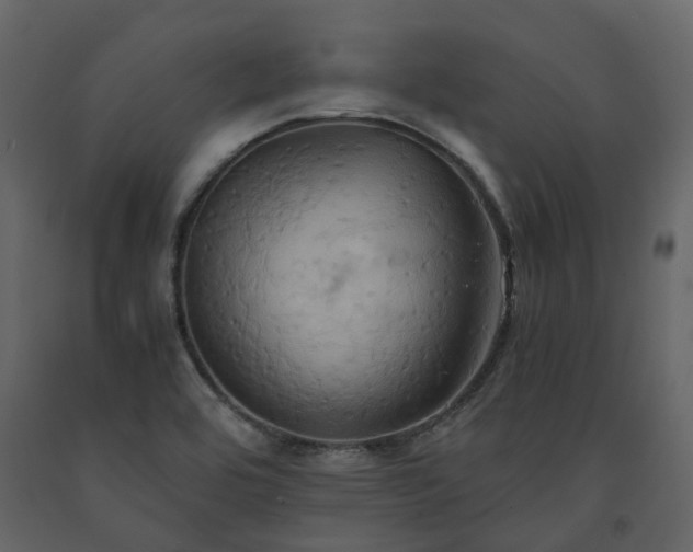 X0000091541464200708241723