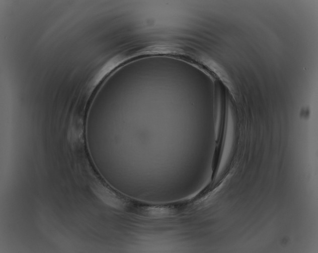 X0000091541465200708241723
