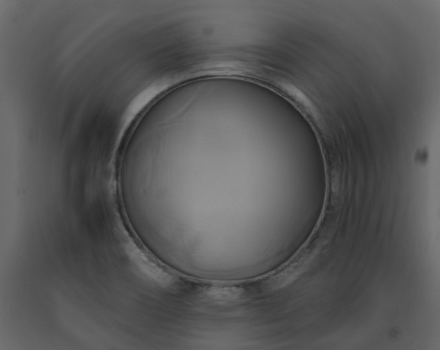 X0000091541466200708241723