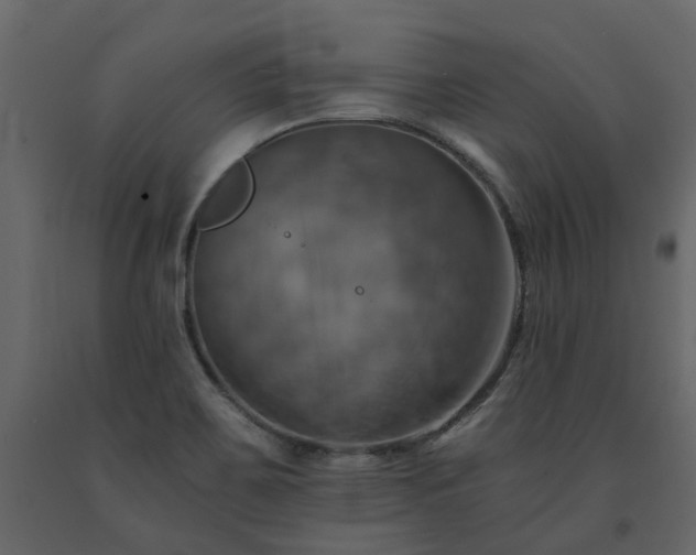 X0000091541467200708241723