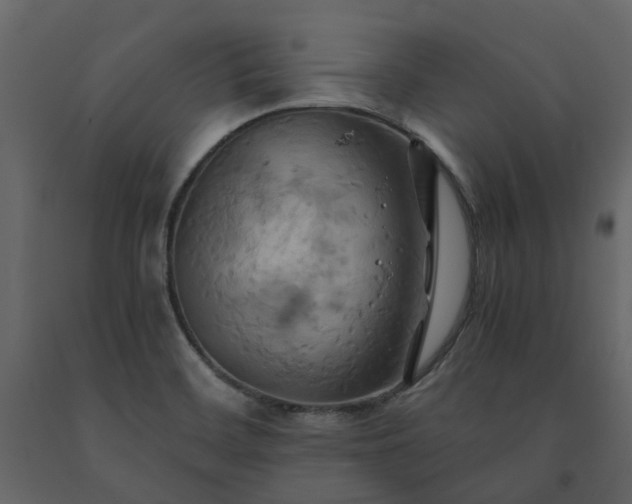 X0000091541468200708241723
