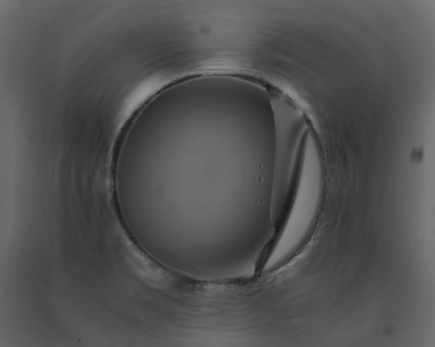 X0000091541469200708241723