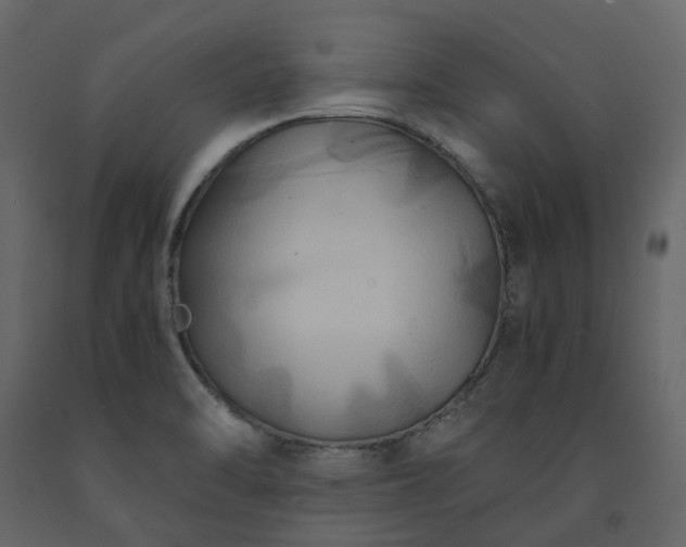 X0000091541470200708241723