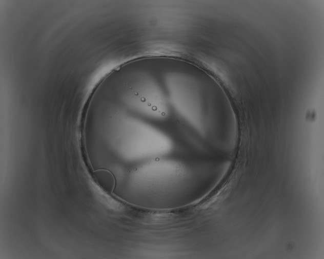 X0000091541471200708241723