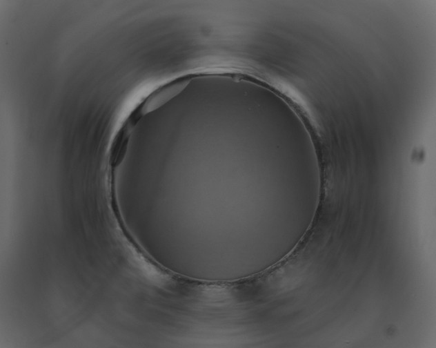 X0000091541472200708241723