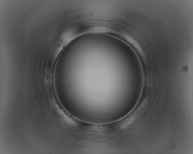X0000091541473200708241723