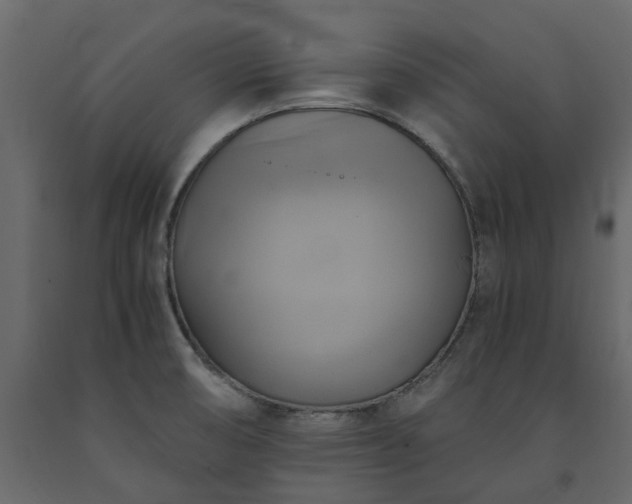 X0000091541474200708241723