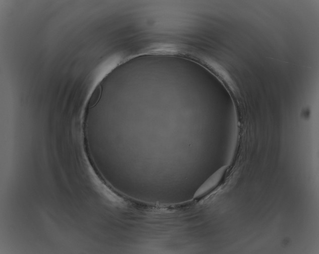 X0000091541475200708241723