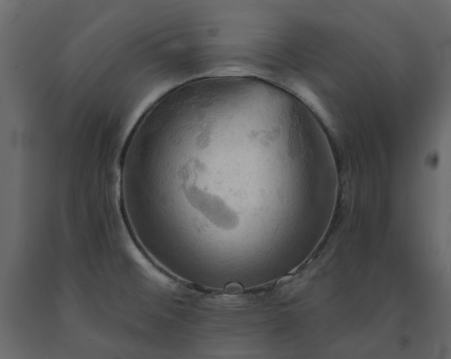 X0000091541476200708241723