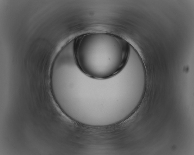 X0000091541477200708241723