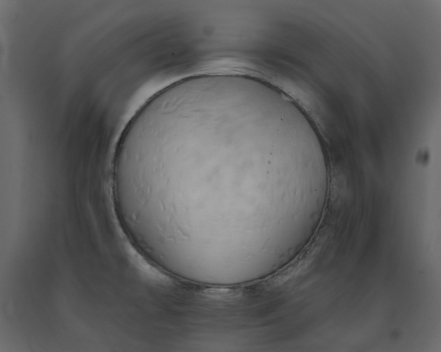 X0000091541478200708241723