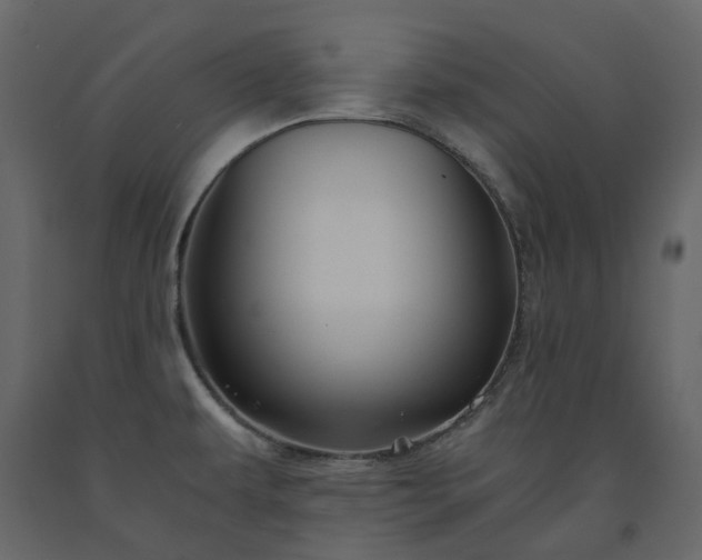 X0000091541479200708241723