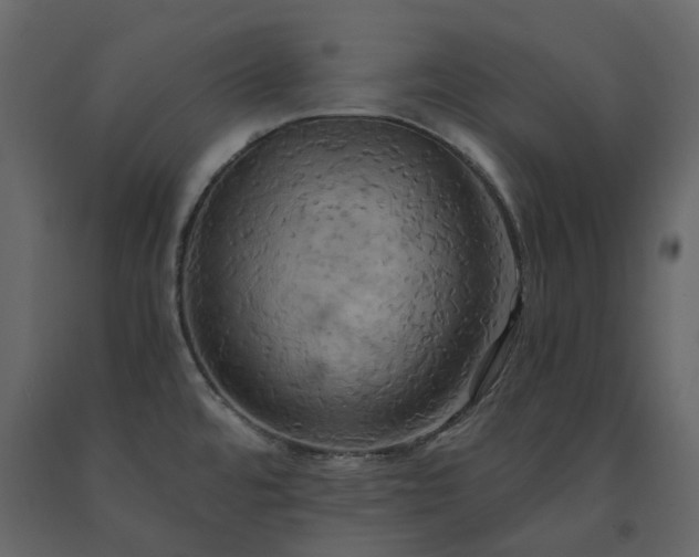 X0000091541480200708241723
