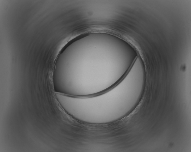 X0000091541481200708241723