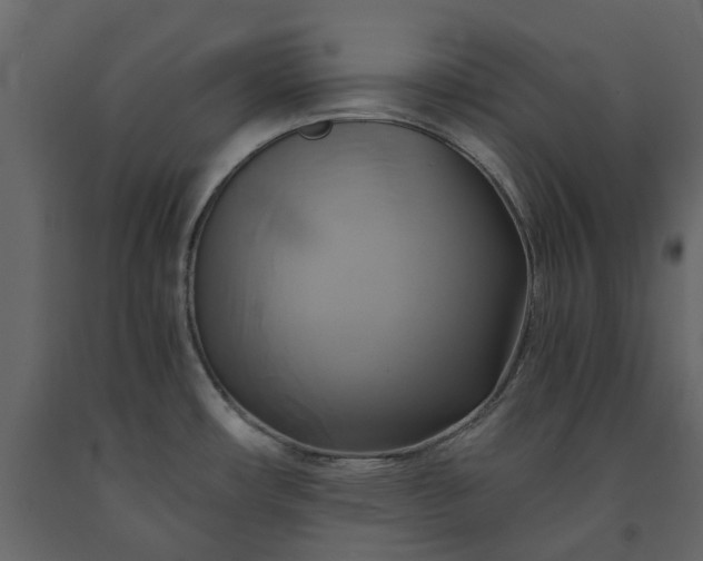 X0000091541482200708241723