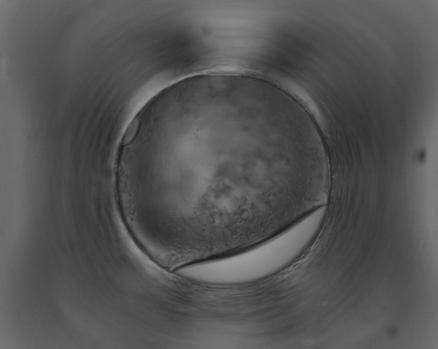 X0000091541483200708241723