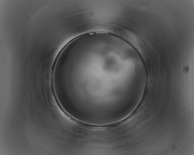 X0000091541484200708241723