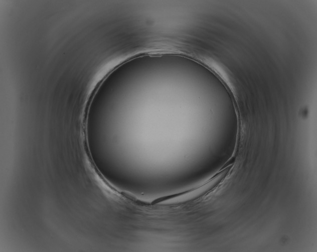 X0000091541485200708241723