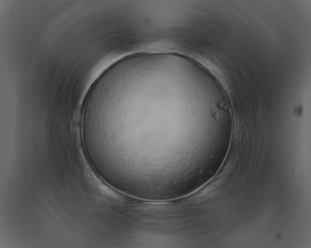 X0000091541486200708241723