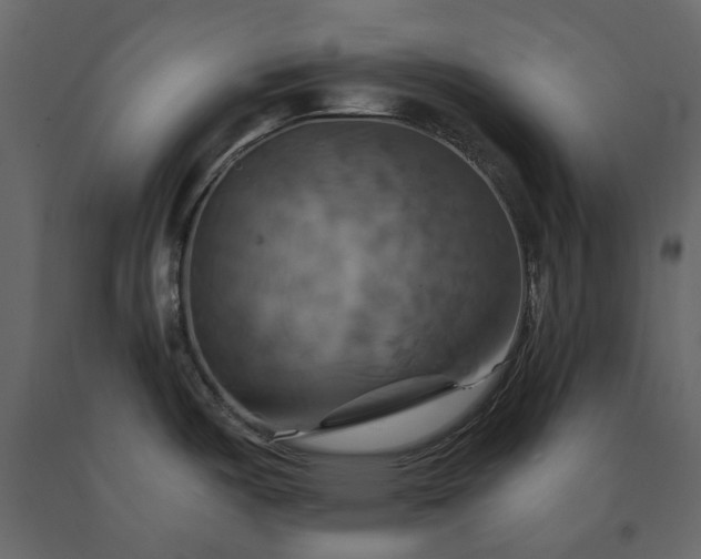 X0000091541487200708241723