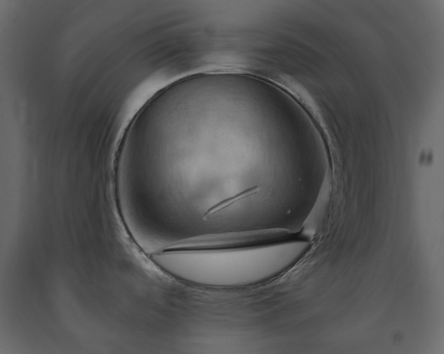 X0000091541488200708241723