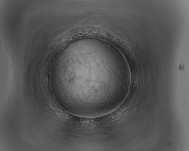 X0000091541489200708241722