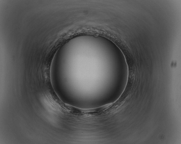 X0000091541490200708241722