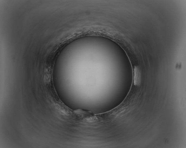 X0000091541491200708241722