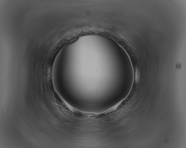 X0000091541492200708241722