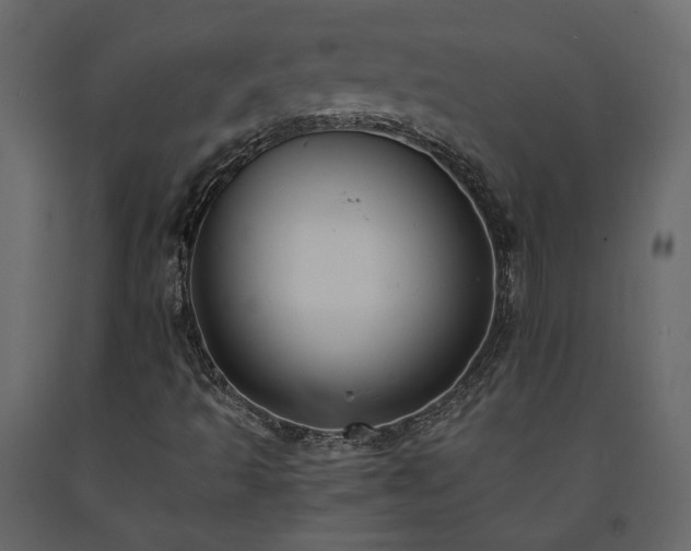 X0000091541493200708241722
