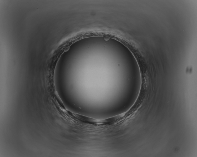 X0000091541494200708241722