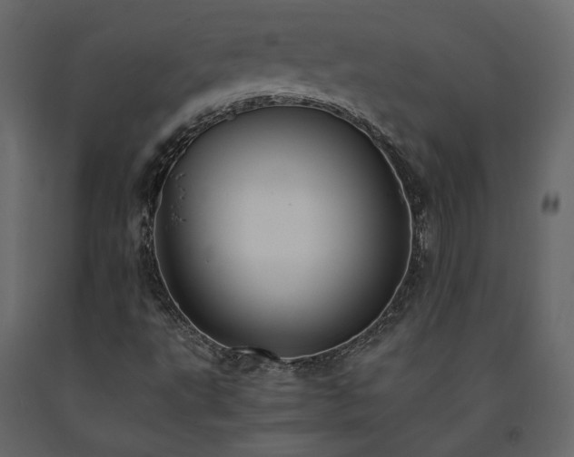 X0000091541495200708241722
