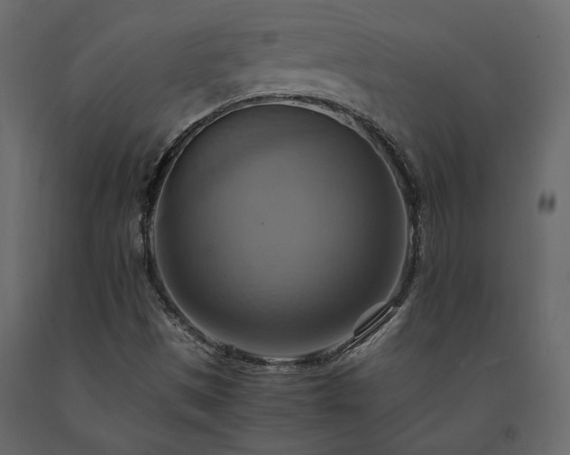 X0000091541497200708241722