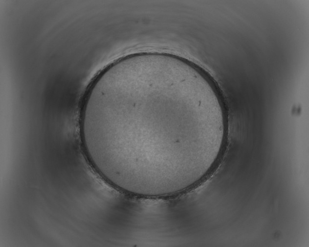 X0000091541498200708241722