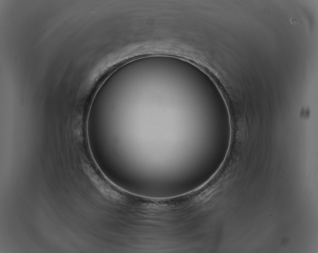X0000091541499200708241722