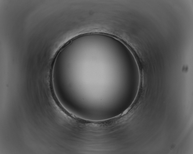 X0000091541500200708241722