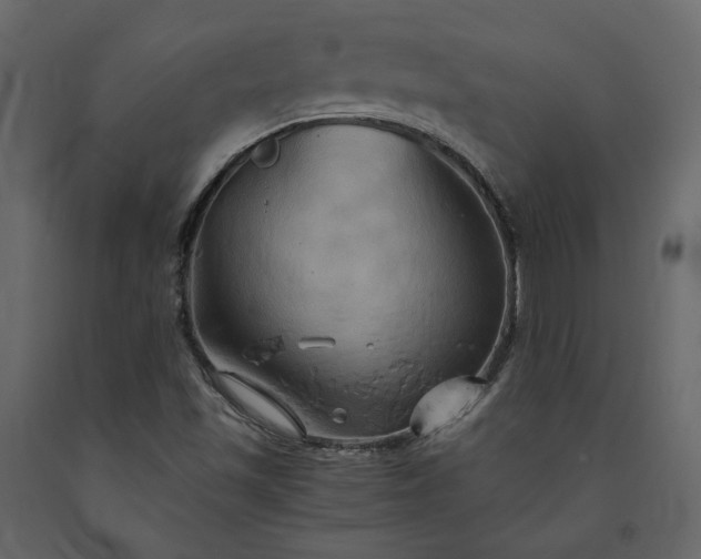 X0000091541501200708241722