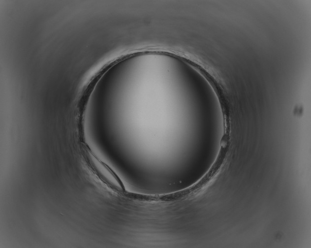 X0000091541502200708241722