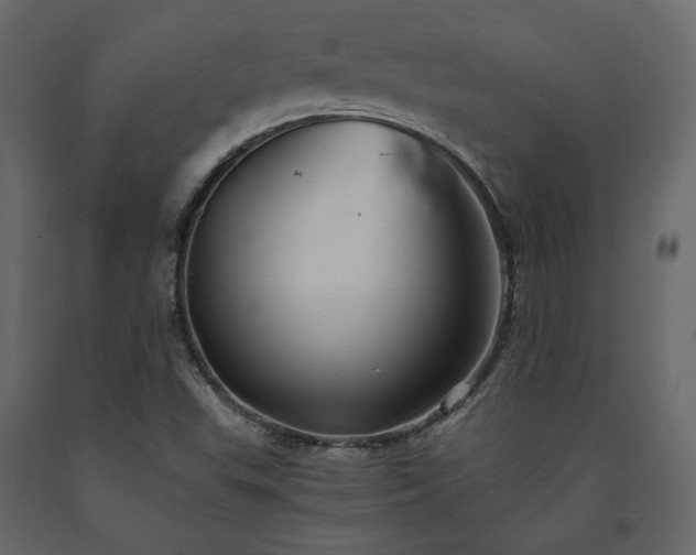 X0000091541503200708241722