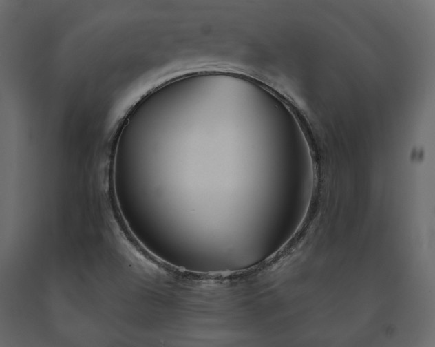 X0000091541504200708241722